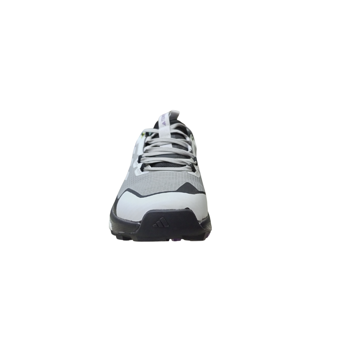 AD Terrex free hiker 2.0 low gore-tex (Wonder Silver)